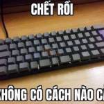 anh bư Profile Picture